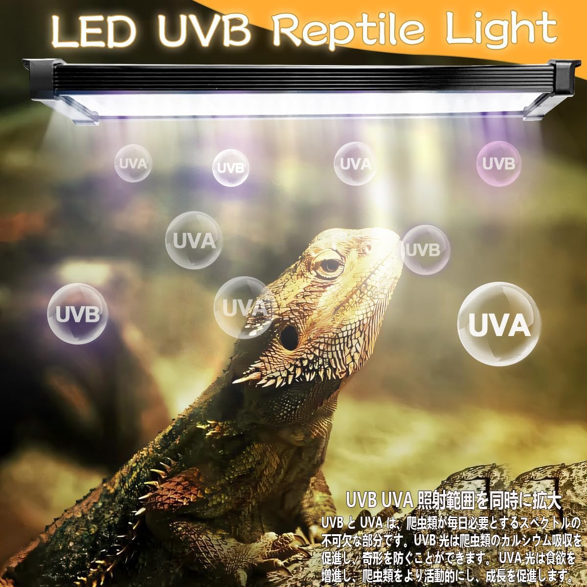 Amazon.co.jp: ANJOJOA 爬虫類 紫外線ライト LED UVA UVB フック式