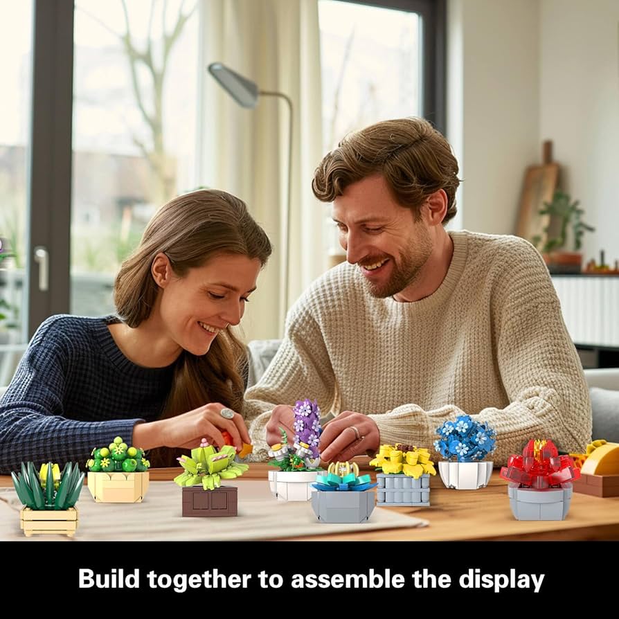 Amazon.com: Succulents Set for Adults Building Sets, 12 Plants