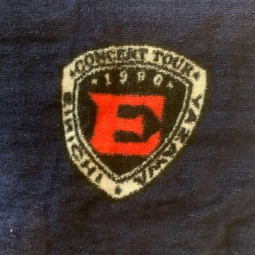 Amazon.co.jp: 矢沢永吉SBTスペシャルビーチタオル スリーロゴ 1990年