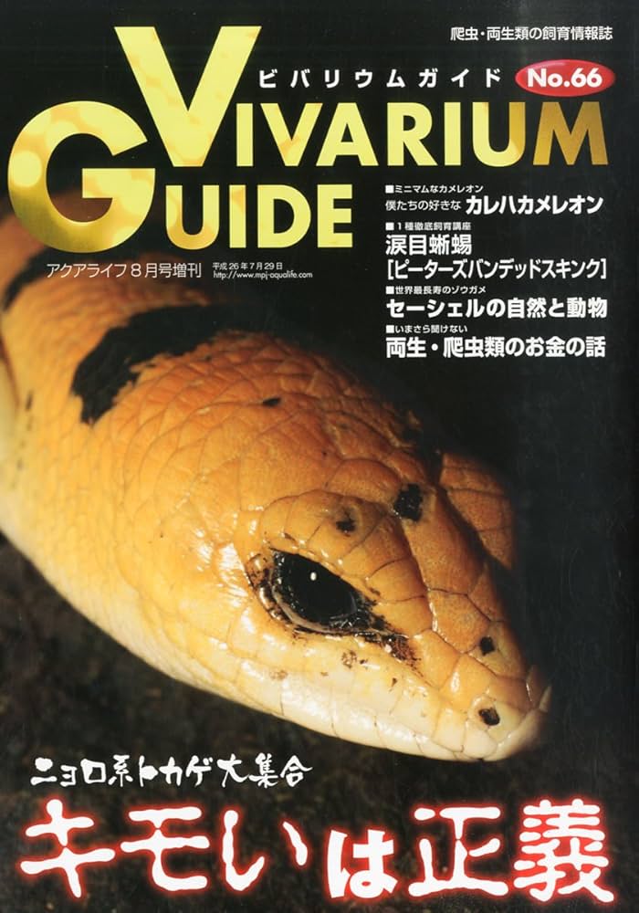 Amazon.co.jp: ビバリウムガイド NO.66 2014年 08月号 : Japanese Books