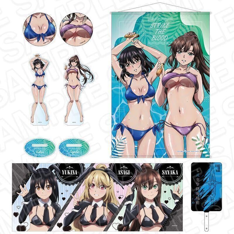 Amazon.co.jp: ストライクザブラッド 姫柊雪菜 藍羽浅葱 煌坂紗矢華