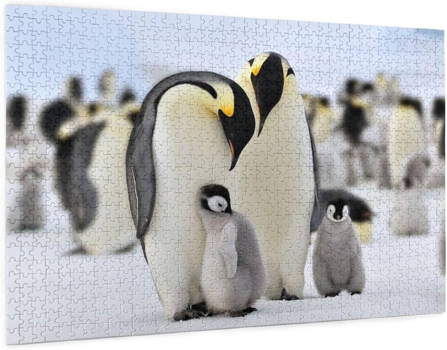 71hyst3a+QL._AC_UF894,