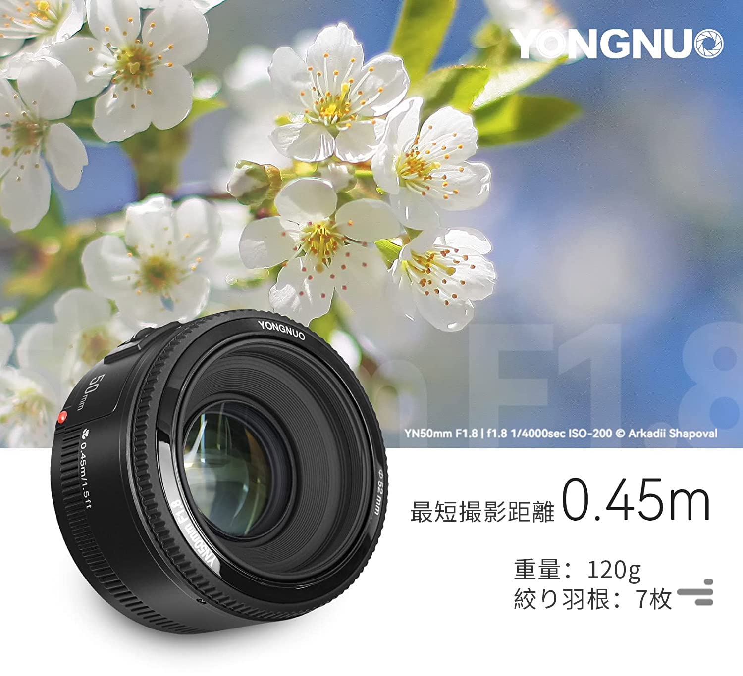 Amazon.co.jp: YONGNUO Canon YN50mm F1.8 単焦点レンズ キャノン EF
