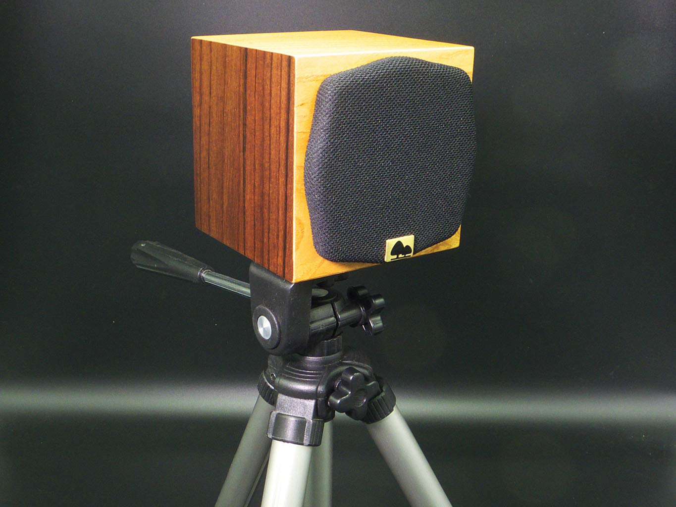 Amazon.co.jp: 高井工芸 ハイクラフト 天然木 本欅 キューブスピーカー