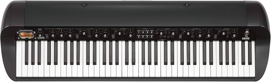 Amazon.co.jp: KORG 電子キーボード STAGE VINTAGE PIANO ステージ