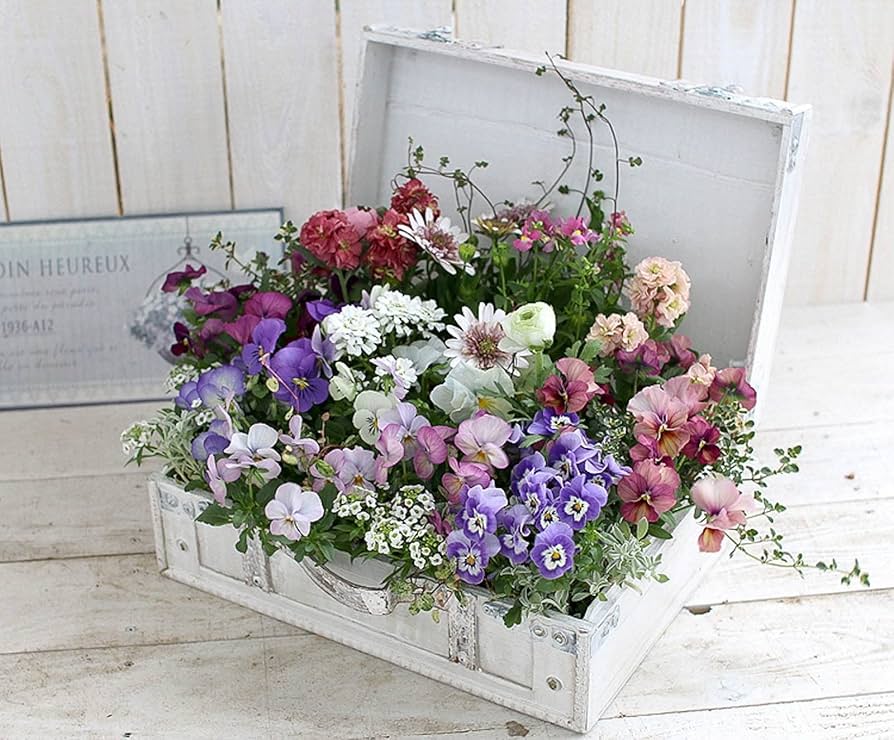 FLOWER 10周年展 Mémorie éternelle セット FLOWER 10周年展 Mémorie