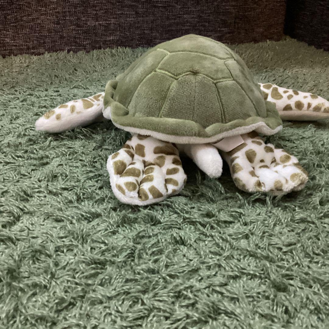 Amazon.co.jp: 八景島シーパラダイス 亀ぬいぐるみHakkeijima sea