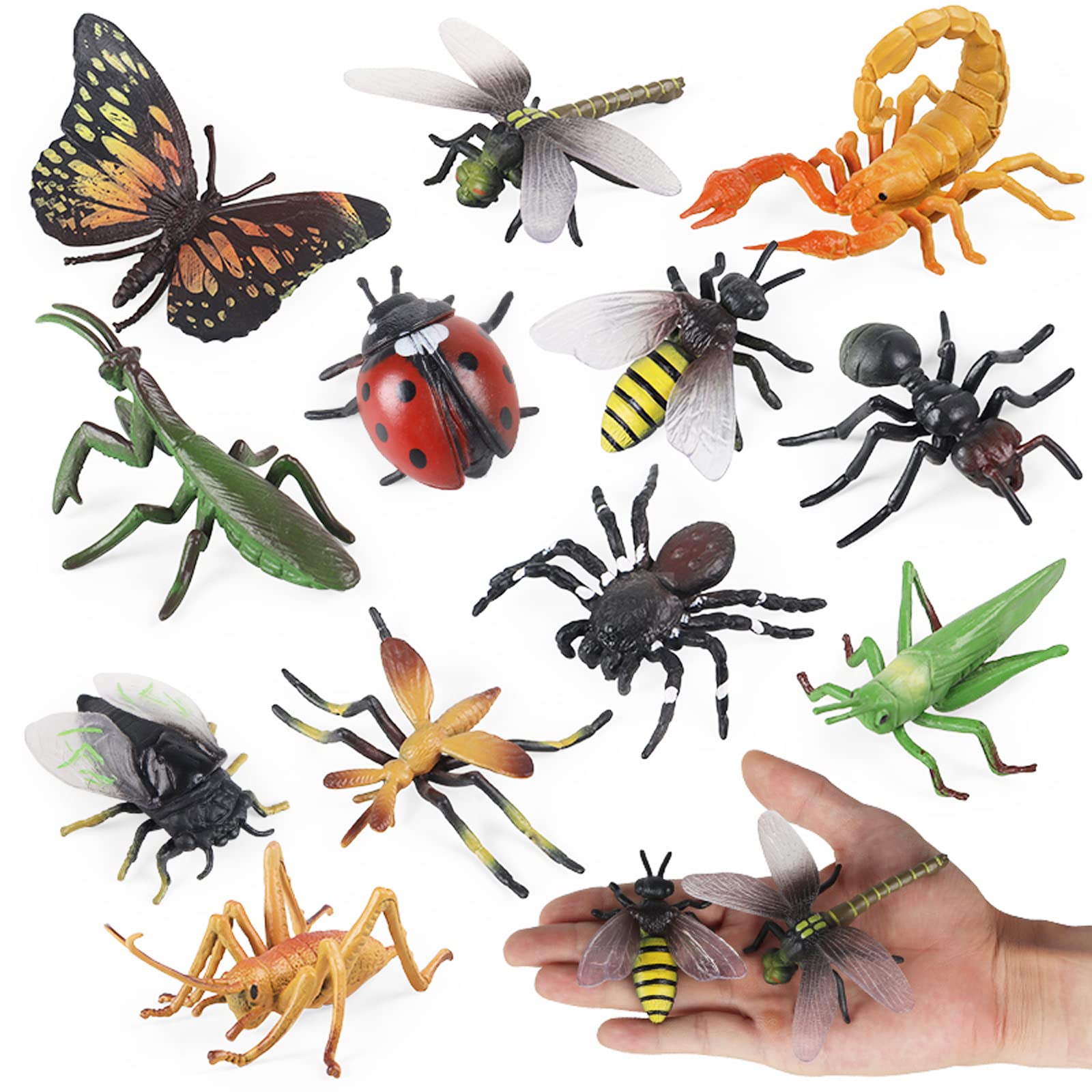 Amazon.co.jp: Momoplay 昆虫おもちゃ 12個 リアルな虫フィギュア ハチ