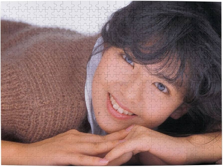 Amazon.co.jp: 南野陽子 パズル 500ピース 脳部運動 ストレス解消 大人