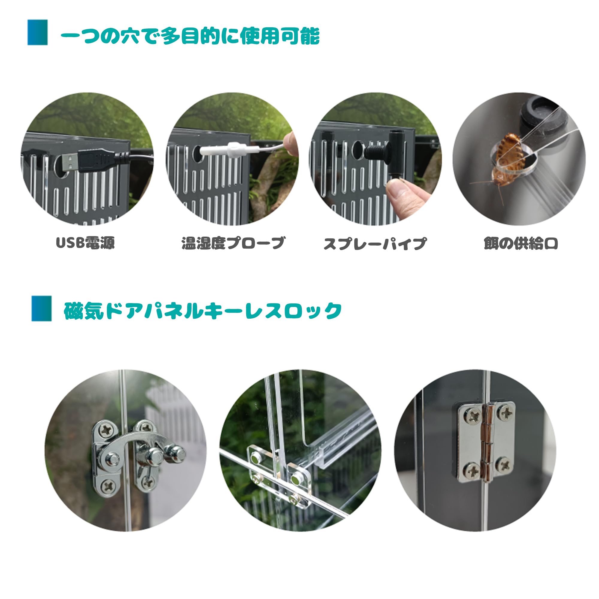 Amazon | 40cm30cm30cm爬虫ケージ 中間仕切り付き2匹のペットを隔離