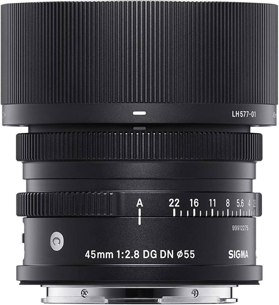 Sigma 45mm F2.8 Contemporary DG DN Lens for Sony E Mount : Amazon