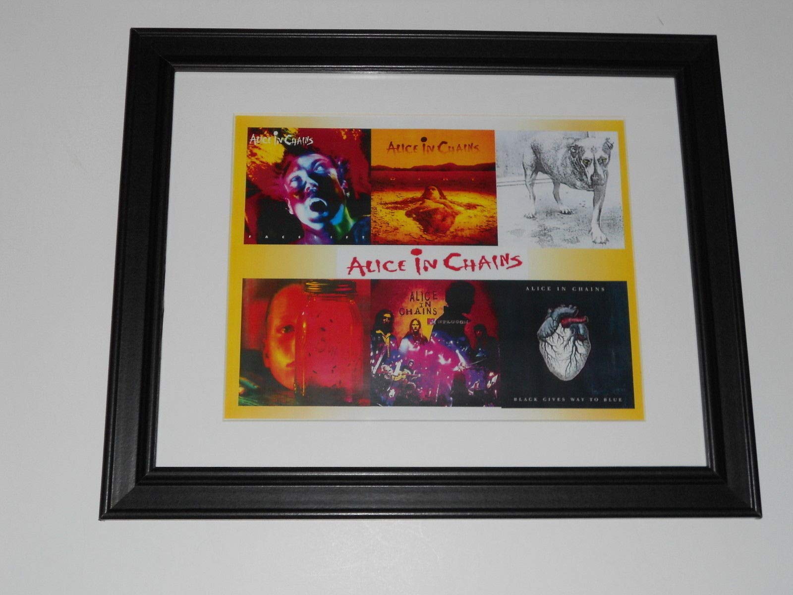 Amazon.com: Framed Alice in Chains 1990-2009 Cover Art Dirt, Jar