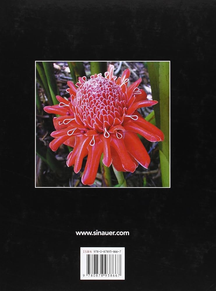 Amazon.com: Plant Physiology: 9780878938667: Taiz, Lincoln, Zeiger