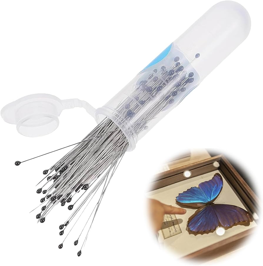 Amazon | PAVIKE 虫ピン 標本 標本針 昆虫針 100本セット 長さ40mm 幅