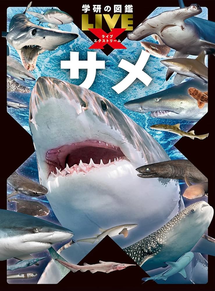 サメ (学研の図鑑LIVEエクストリーム) | アクアワールド茨城県大洗