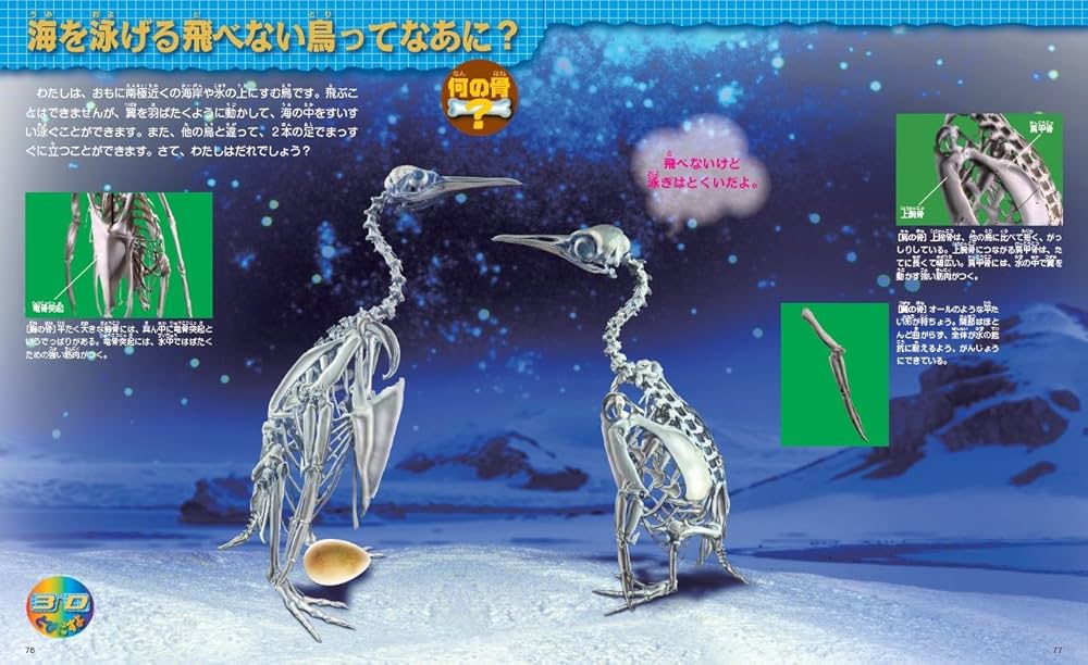 このホネなあに？ 3D動物ふしぎ図鑑 | 富田 京一 |本 | 通販 | Amazon