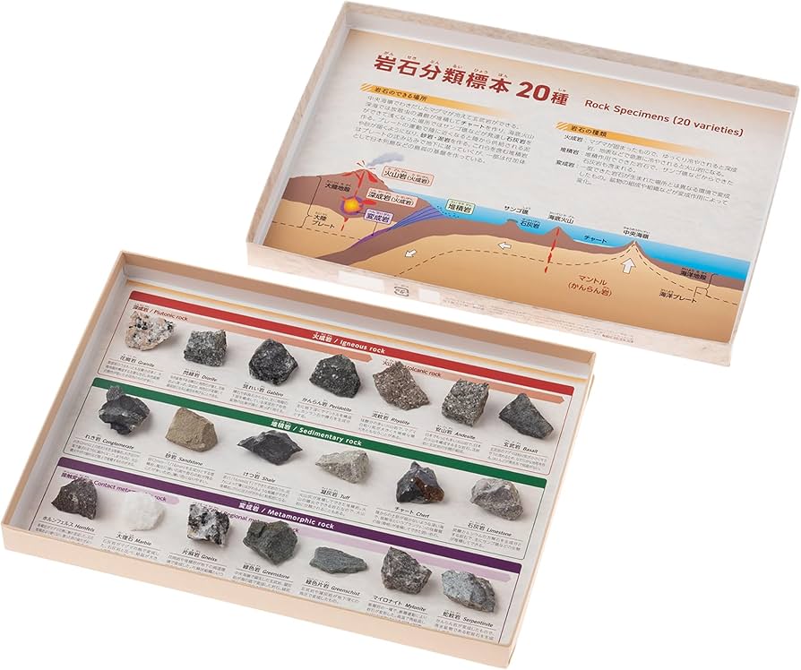 Amazon | 大江理工社(Oherikosha) ブック型標本セット 岩石分類標本20