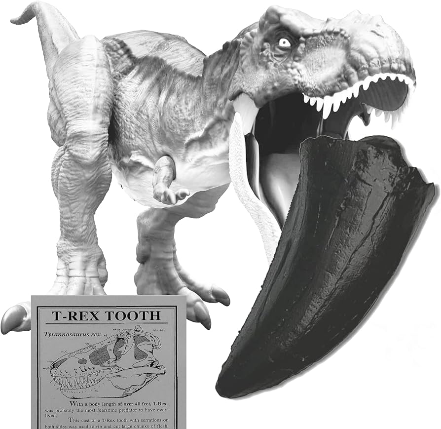 Amazon | SCIENCE Fossil Replica T-REX Tooth「T-REX