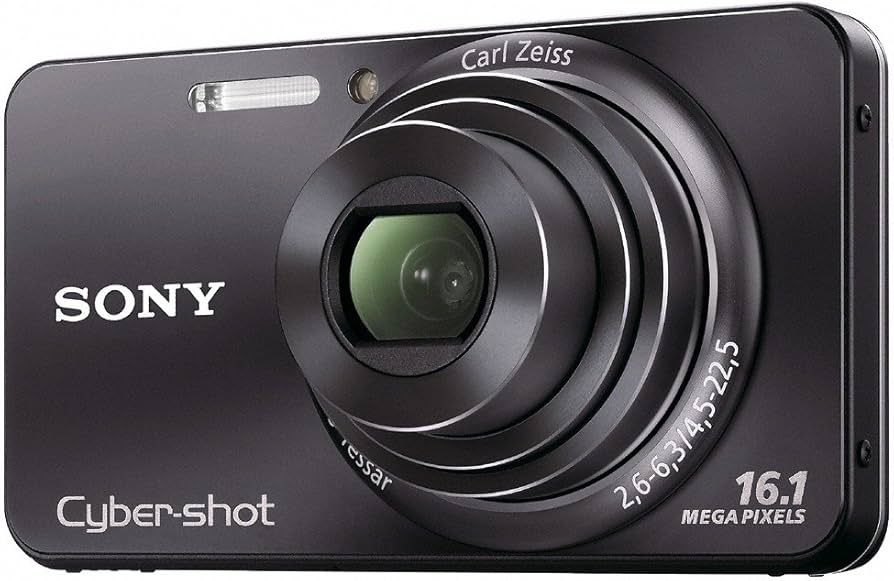 Amazon.com : Sony Cyber-Shot DSC-W570 16.1 MP Digital Still Camera
