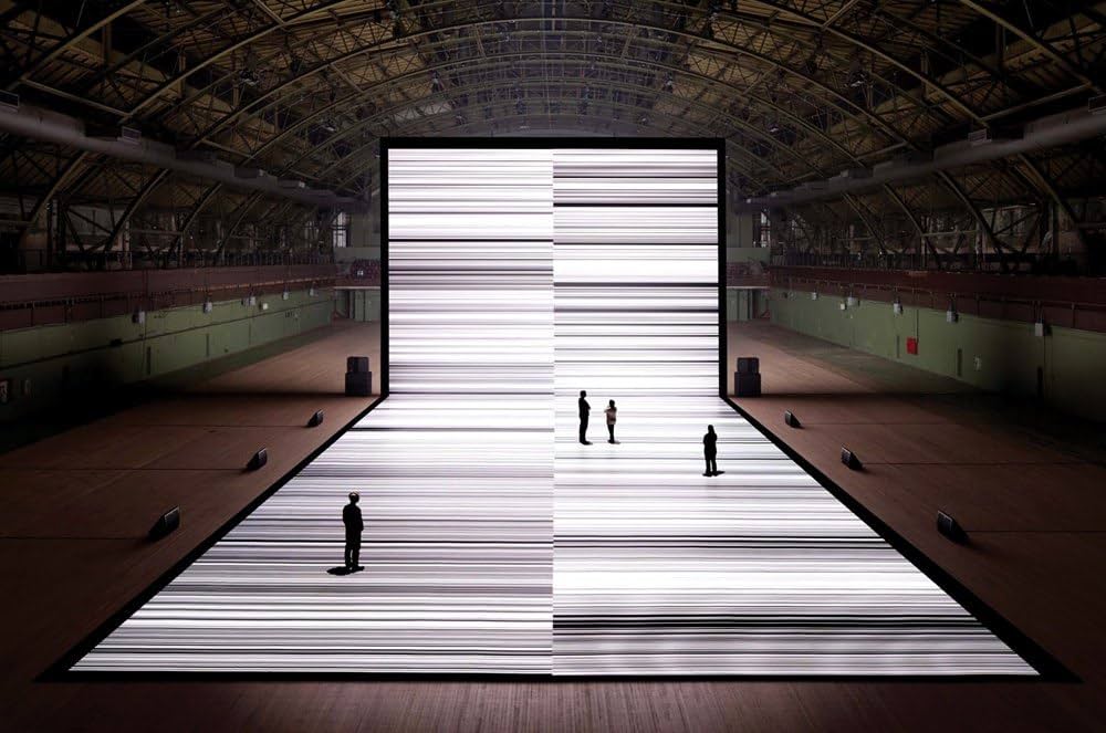 Amazon | Ryoji Ikeda: Datamatics | Ikeda, Ryoji, Abe, Kazunao