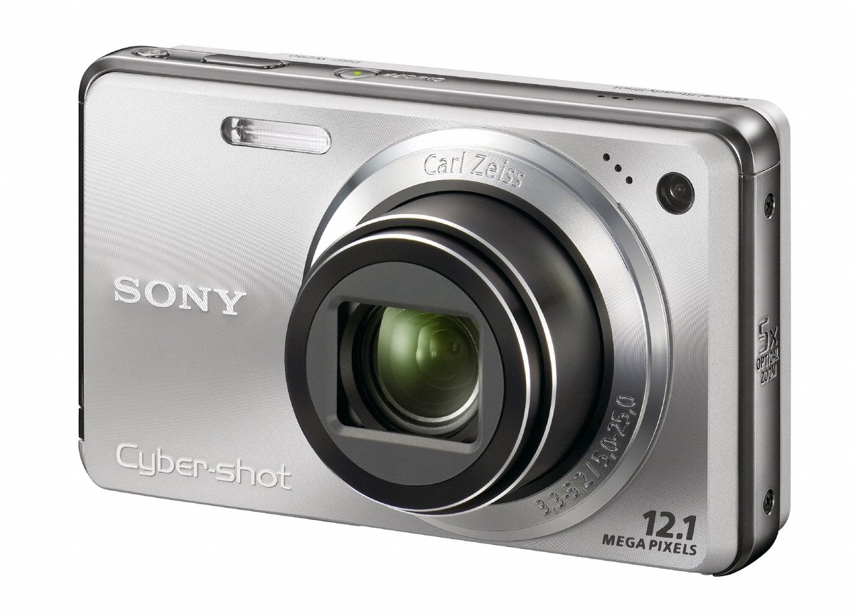 Amazon.com : Sony Cyber-shot DSC-W290 12.1 MP Digital Camera with