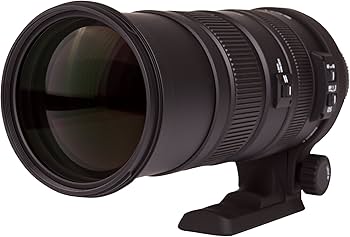 Amazon.com : Sigma 150-500mm f/5-6.3 Auto Focus APO DG OS HSM