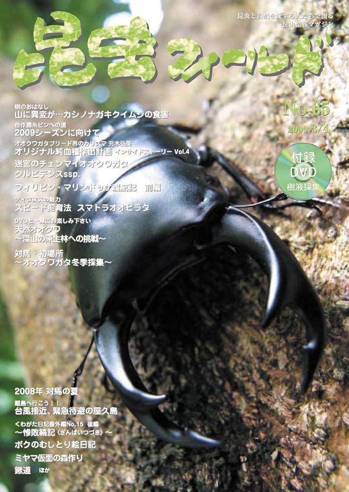 Amazon.co.jp: 昆虫フィールド No.65 (DVD付) : 本