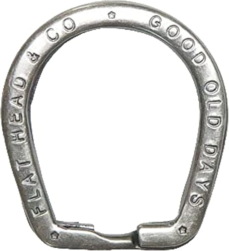 Amazon.co.jp: (フラットヘッド)The Flat Head 馬蹄型 鉄製 キーリング