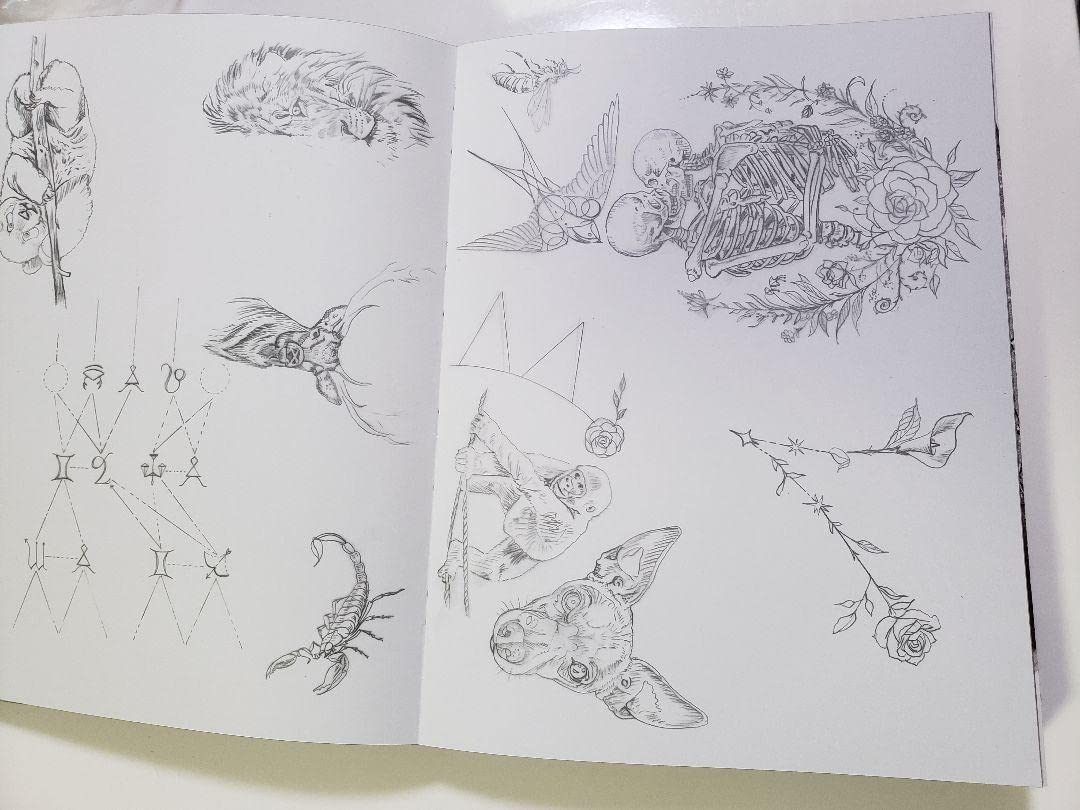 Amazon.co.jp: Dr. Woo 作品集 サイン入りEverything is Permanent