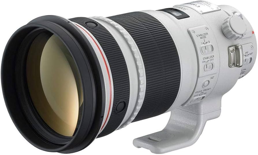 Amazon.com : Canon 300mm F2.8 L is II USM EF Lens : Camera Lenses