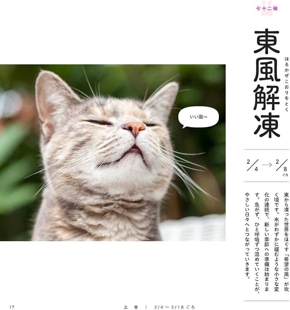 Amazon.co.jp: にゃにゃ十二候 猫とめぐる日本の古暦・七十二候 : 藤本