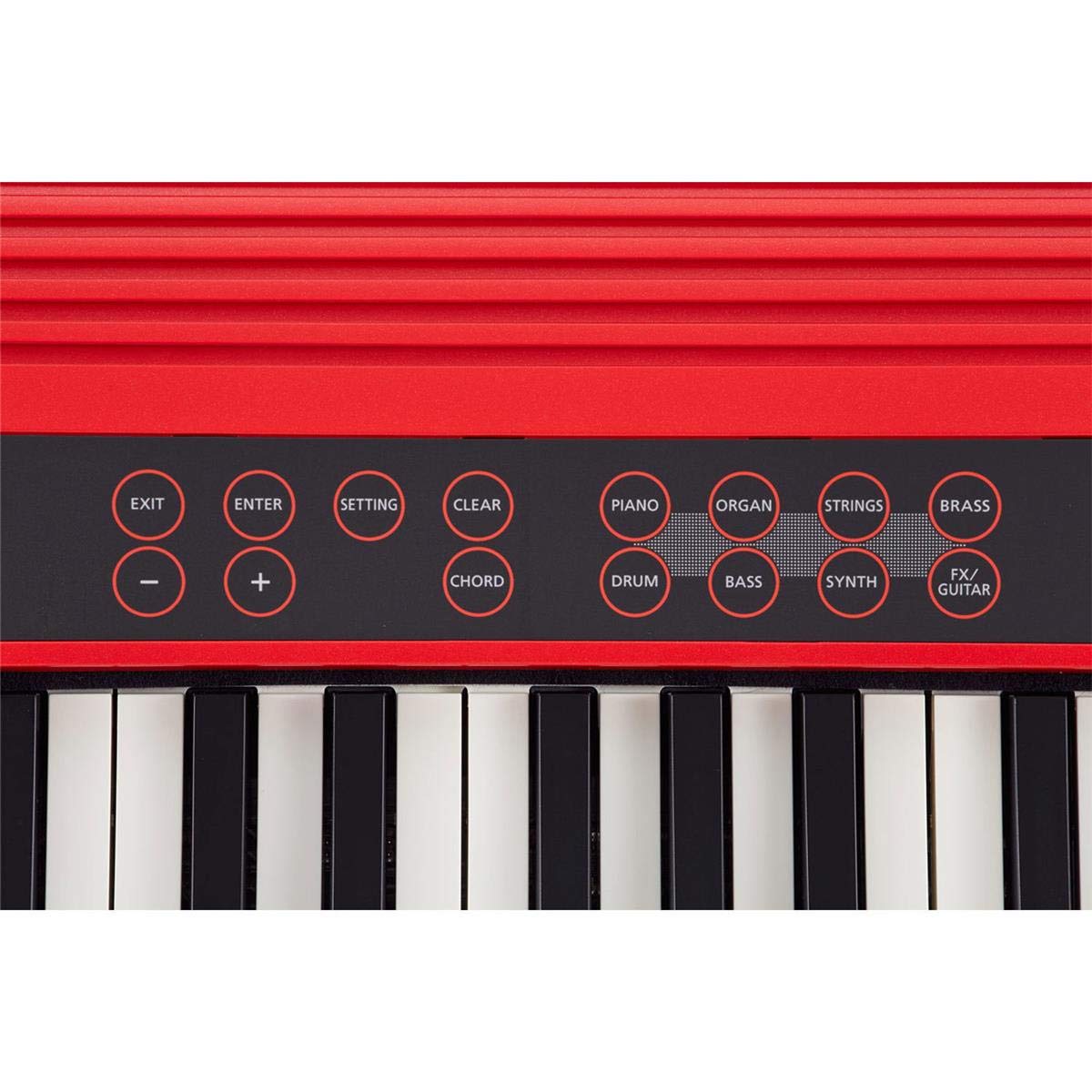 Roland GO:KEYS 61-key Music Creation Piano Keyboard with