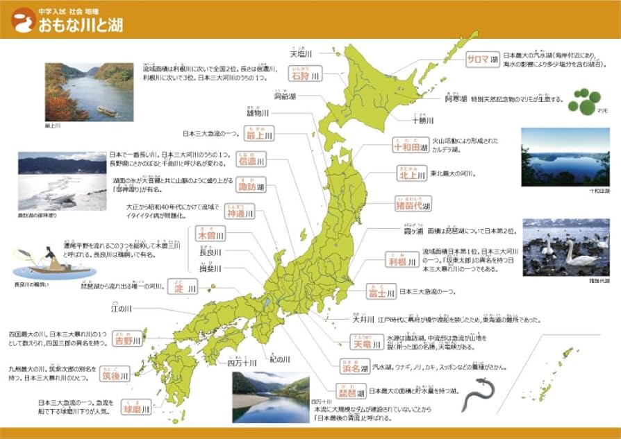 Amazon.co.jp: Gakupo お風呂でおぼえる学習ポスター 中学入試 社会