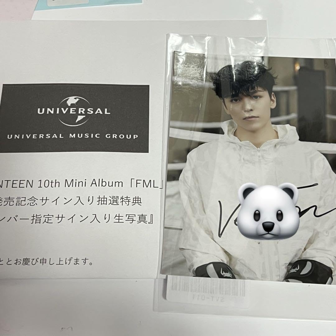 seventeen SEVENTEEN セブチ ディノ 直筆 サイン インスタントフォト