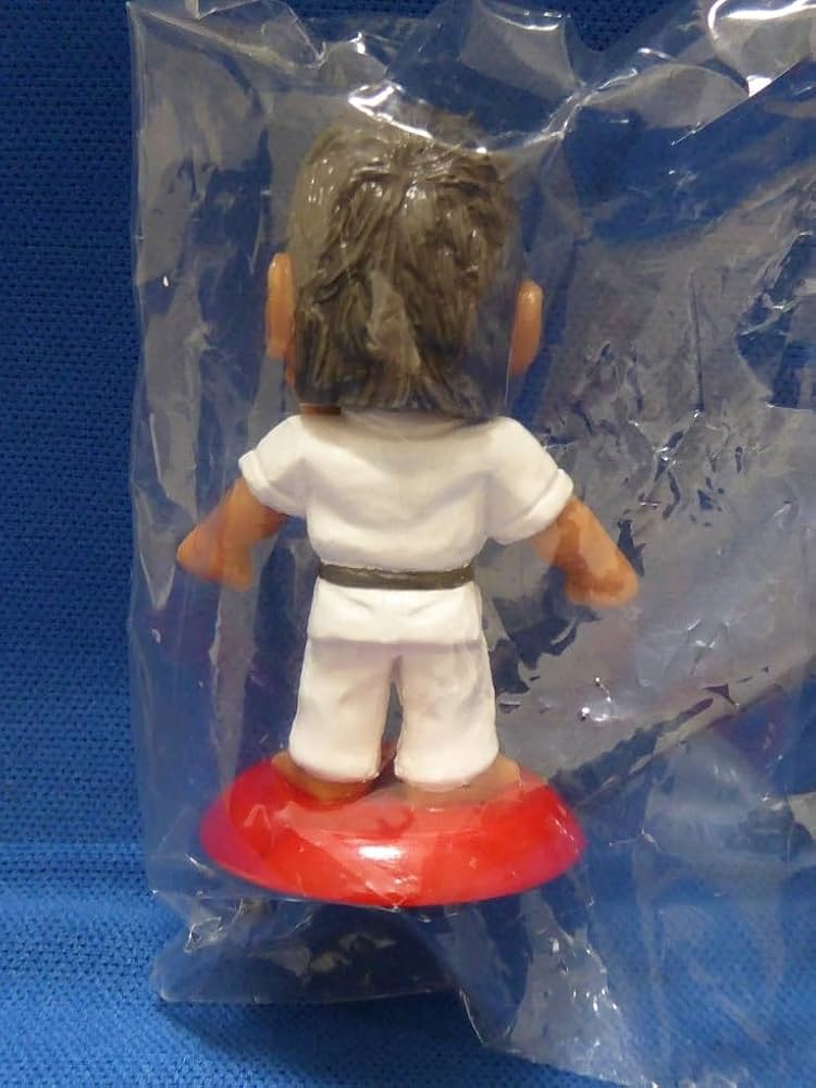 プロ格ヒーローズ ミニビッグヘッドフィギュア vol.1 BOX 24個 未開封