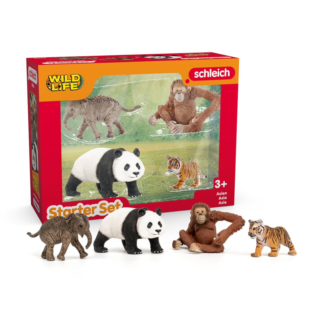 Amazon.com: Schleich Wild Life Asia Starter Set – 4-Piece