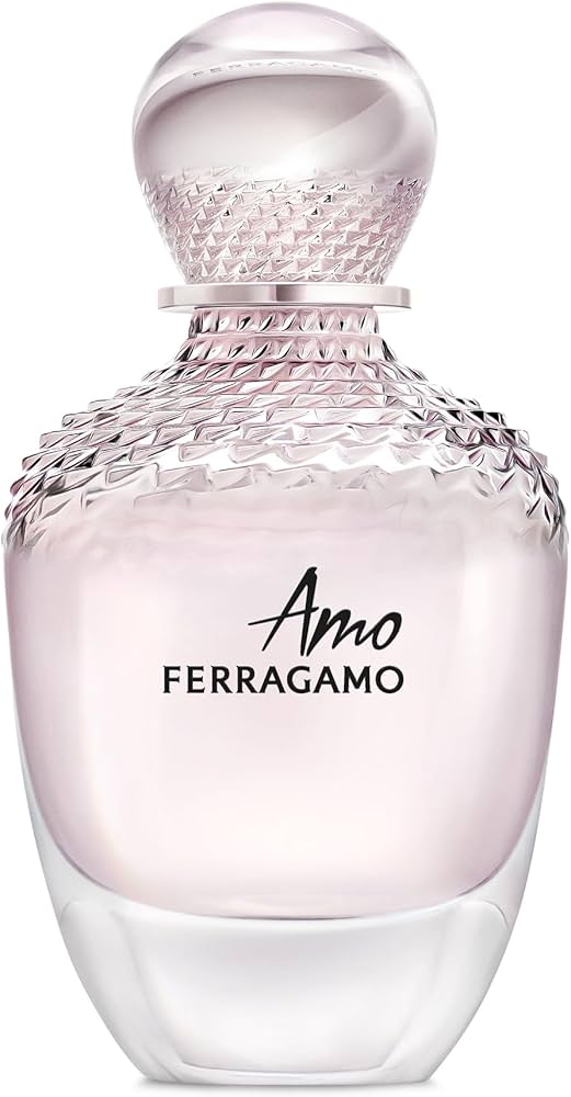 Amazon | 【フェラガモ】アモ フェラガモ EDP・SP 100ml | Ferragamo