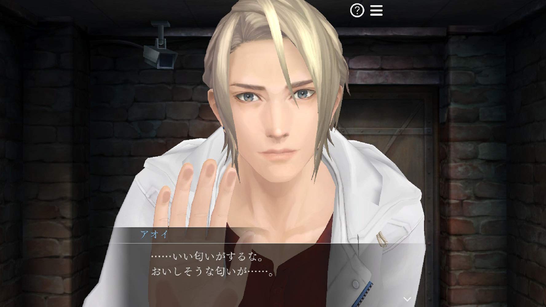 Amazon.co.jp: 囚われのパルマ デラックス エディション -Switch : ゲーム