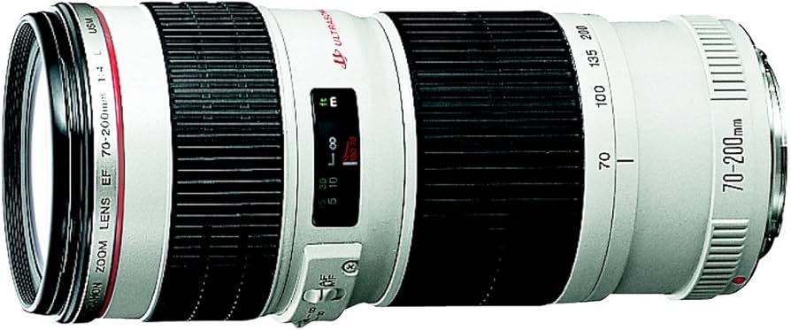 Canon EF 70-200mm f/4 L is USM Lens for Canon Digital SLR Cameras
