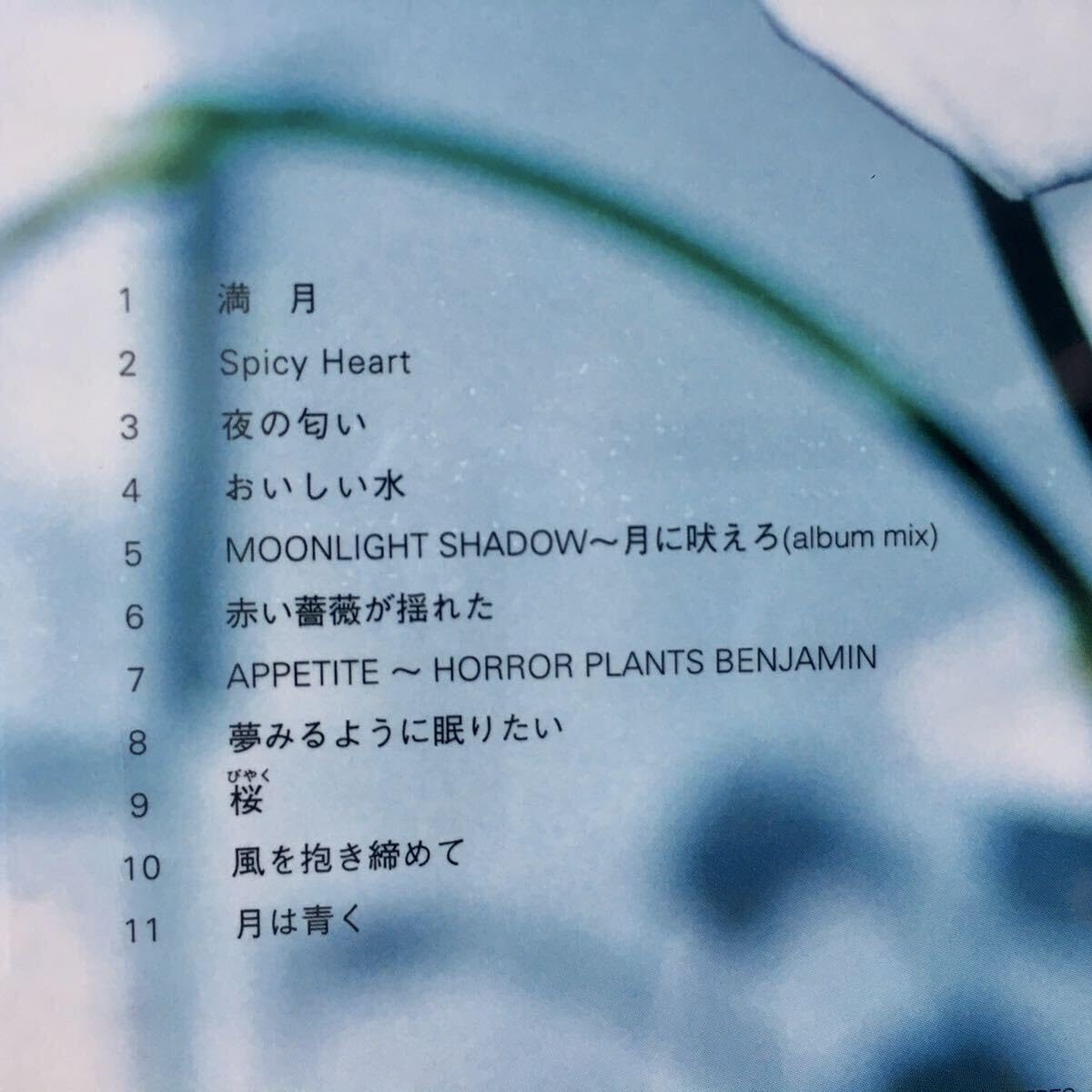 Amazon.co.jp: 未開封中古 1CD 初回限定 SHAKER 中森明菜 サンプル盤