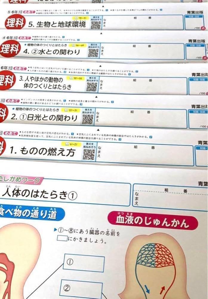 小6】理科カラーテスト【大日本図書】【明治図書】 小6】理科カラー