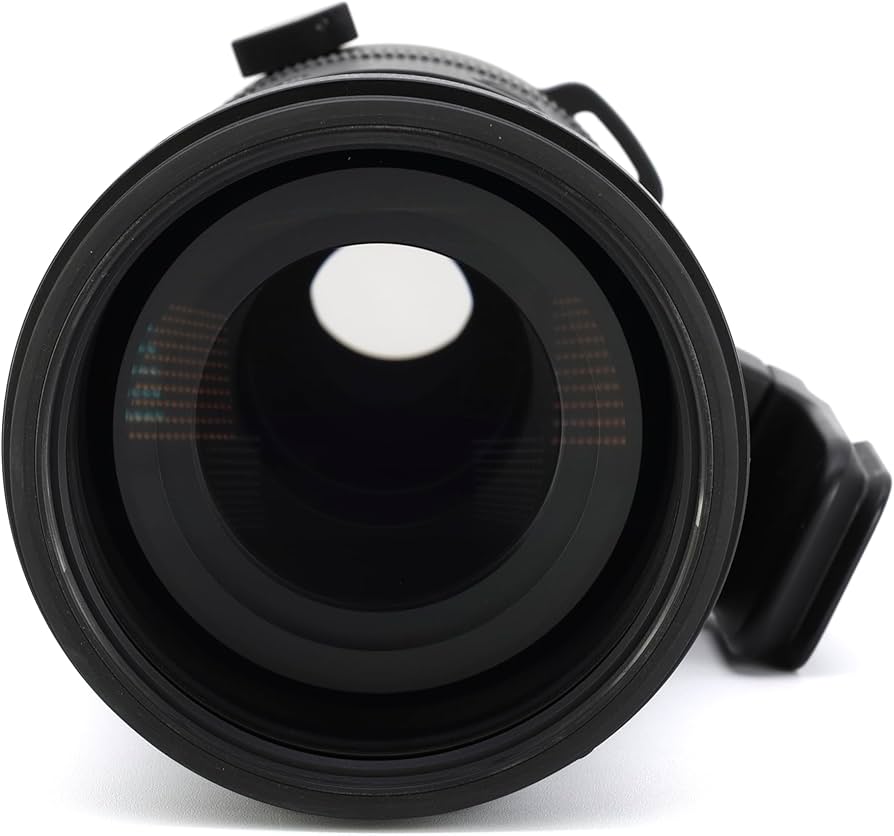 Amazon.com: Sigma 150-600mm F5/-6.3 DG DN for L Mount : Sports