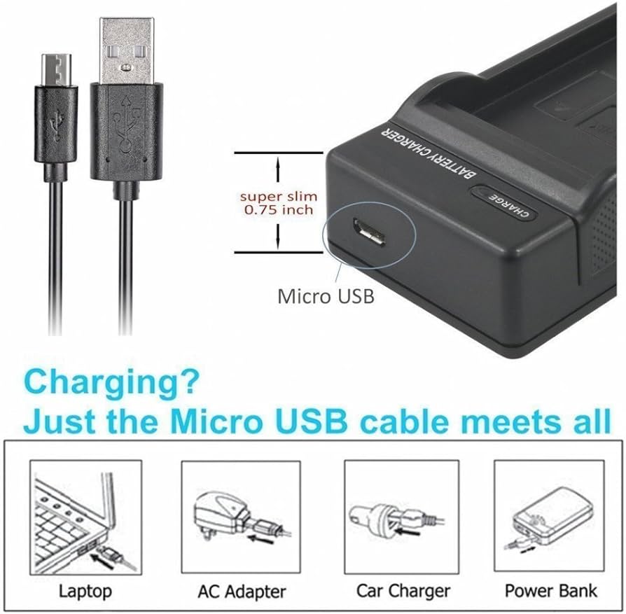 Amazon.com : Micro USB Battery Charger for Canon PowerShot S100