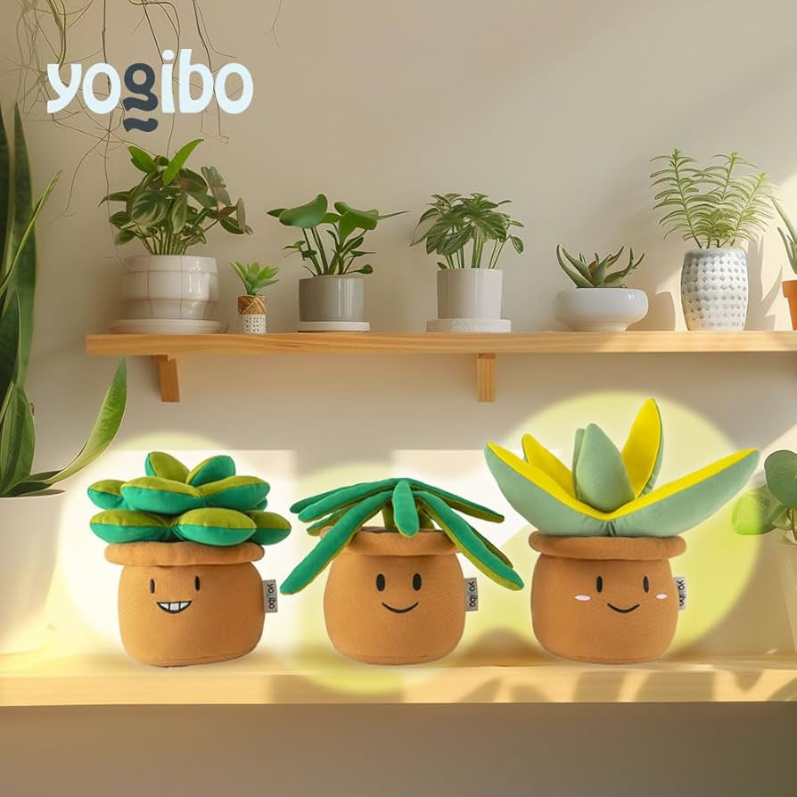 Amazon.co.jp: Yogibo Plant Mate ヨギボー プラント メイト Succulent