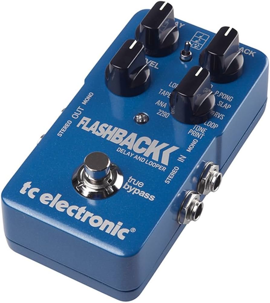 Amazon | tc electronic Flash Back DELAY & LOOPER ギター