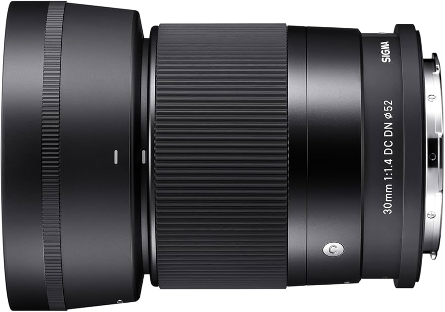 Amazon.com : Sigma 30mm F1.4 Contemporary DC DN Lens for Sony E