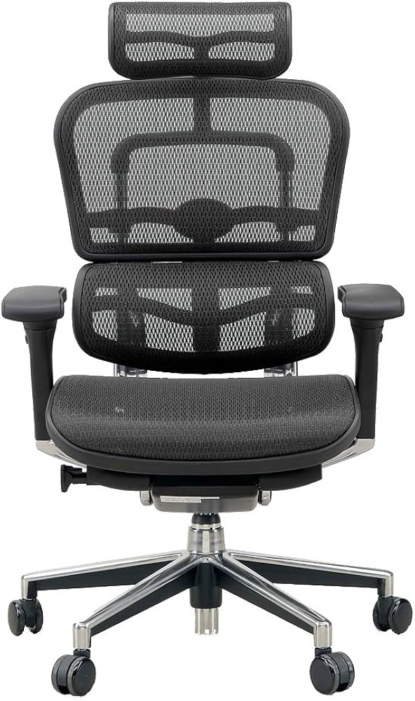 Amazon.co.jp: メーカー組立完成品 エルゴヒューマン ベーシック