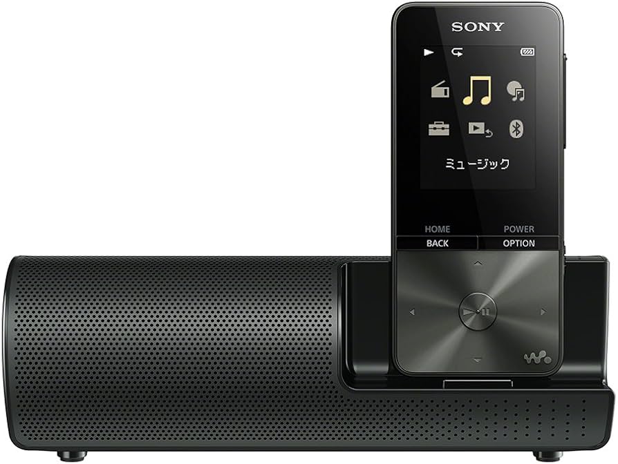 Amazon.co.jp: ソニー ウォークマン Sシリーズ 16GB NW-S315K : MP3