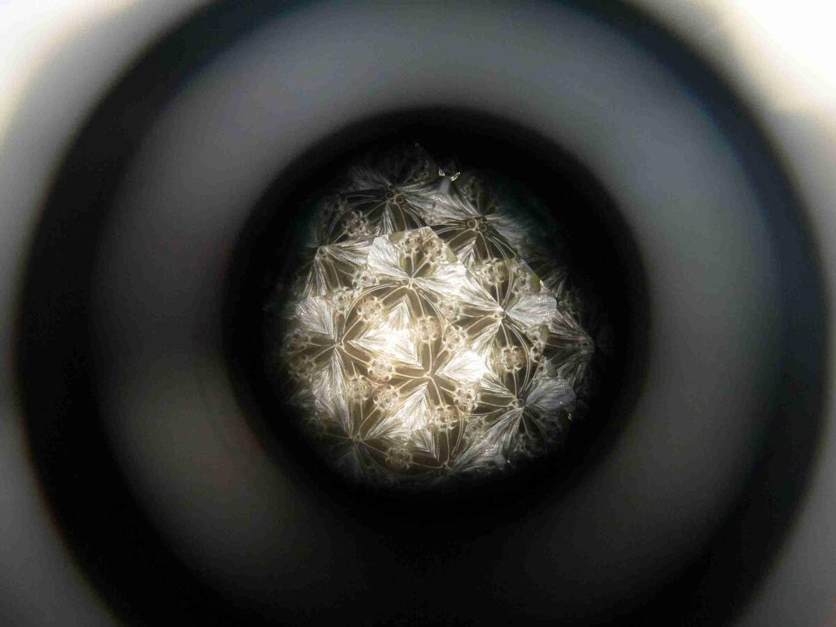 Amazon | オルゴール付き 万華鏡 カレイドスコープ 元箱入り とても