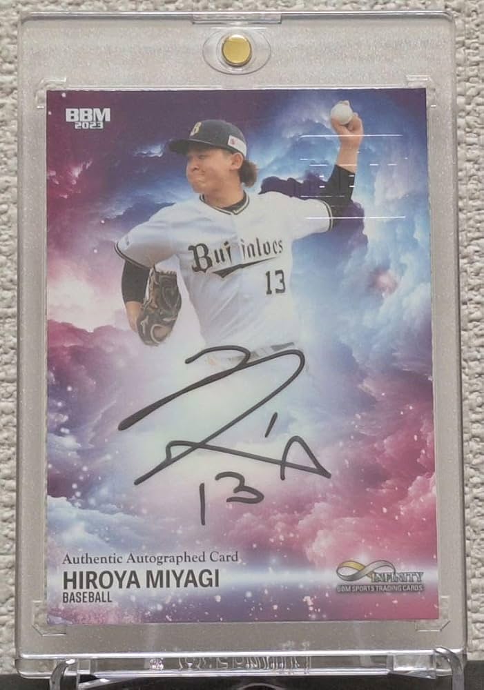 龍宮城 S 直筆サイン ビハインド フォト 龍宮城 S 直筆サイン